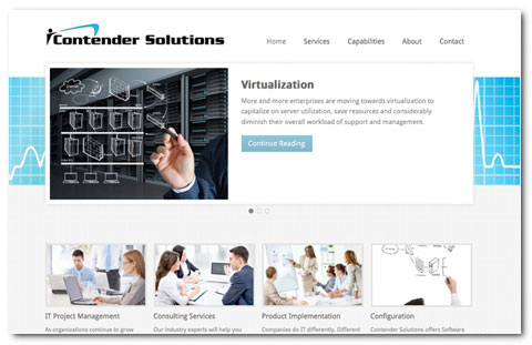 Contender Solutions: web design by Brian Lis