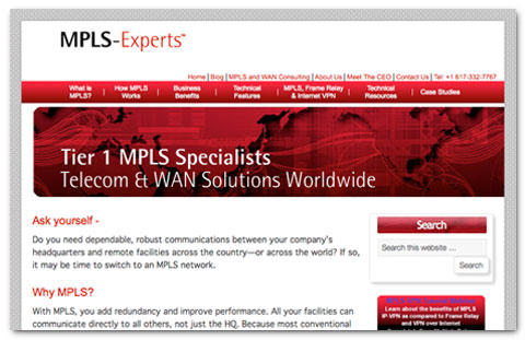 MPLS Experts: web design by Brian Lis