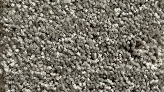 carpet swatch